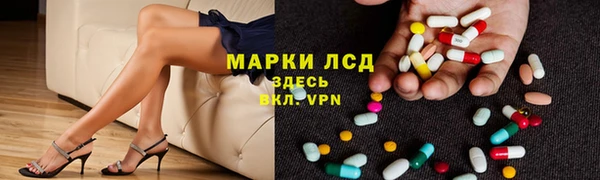 PSILOCYBIN Ладушкин