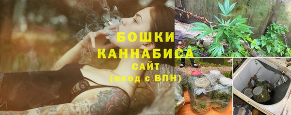 PSILOCYBIN Ладушкин